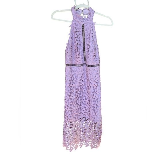 Bardot Gemma Halter Lace Sheath Dress - Picture 5 of 6